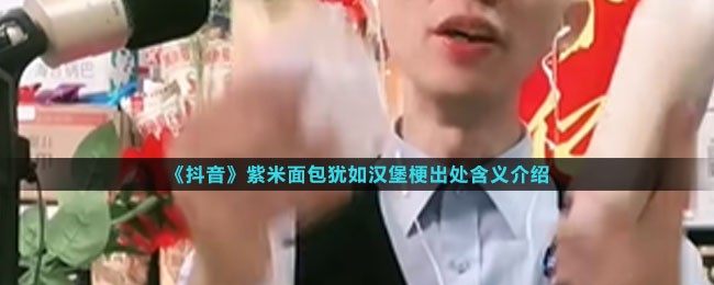 抖音紫米面包犹如汉堡是什么梗-紫米面包犹如汉堡梗出处含义
