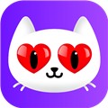 蘑菇tv手机版免费下载