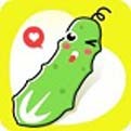 992tv影视安装包下载安装