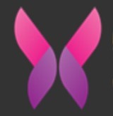依恋视频在线观看免费播放版