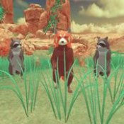 浣熊模拟Raccoon Sim手机端apk下载