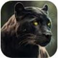 荒野豹动物生活模拟Wild Panther Animal Life Sim全网通用版